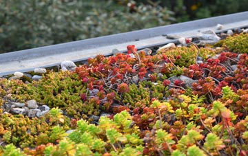the cost of Ballynagard green roof installation