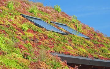 Ballynagard living roof systems