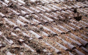 Ballynagard roof cleaning companies