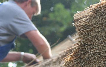 professional Ballynagard thatchers