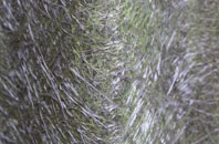 Ballynagard fibreglass roof work